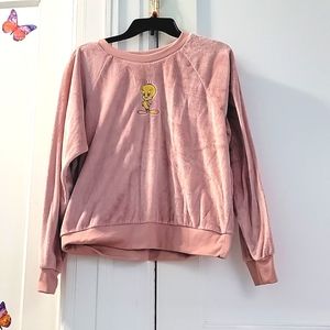 Looney Tunes (Warner Brothers) Velvet Sweater
